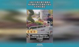 开封网民爆料最新消息,最新事件详情曝光