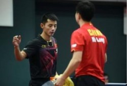 张继科爆料视频最新版,背后真相令人震惊
