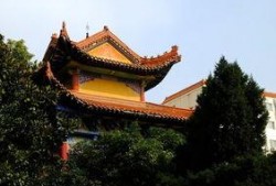 武汉宝通寺最新爆料,千年古刹焕新颜，文化传承与现代化并存